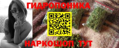 прущие крисы Тверь