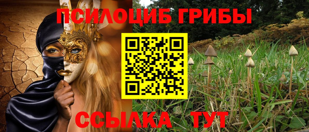 Лысьва  наркотики  Вход с VPN  Псилоцибиновые грибы Cubensis 